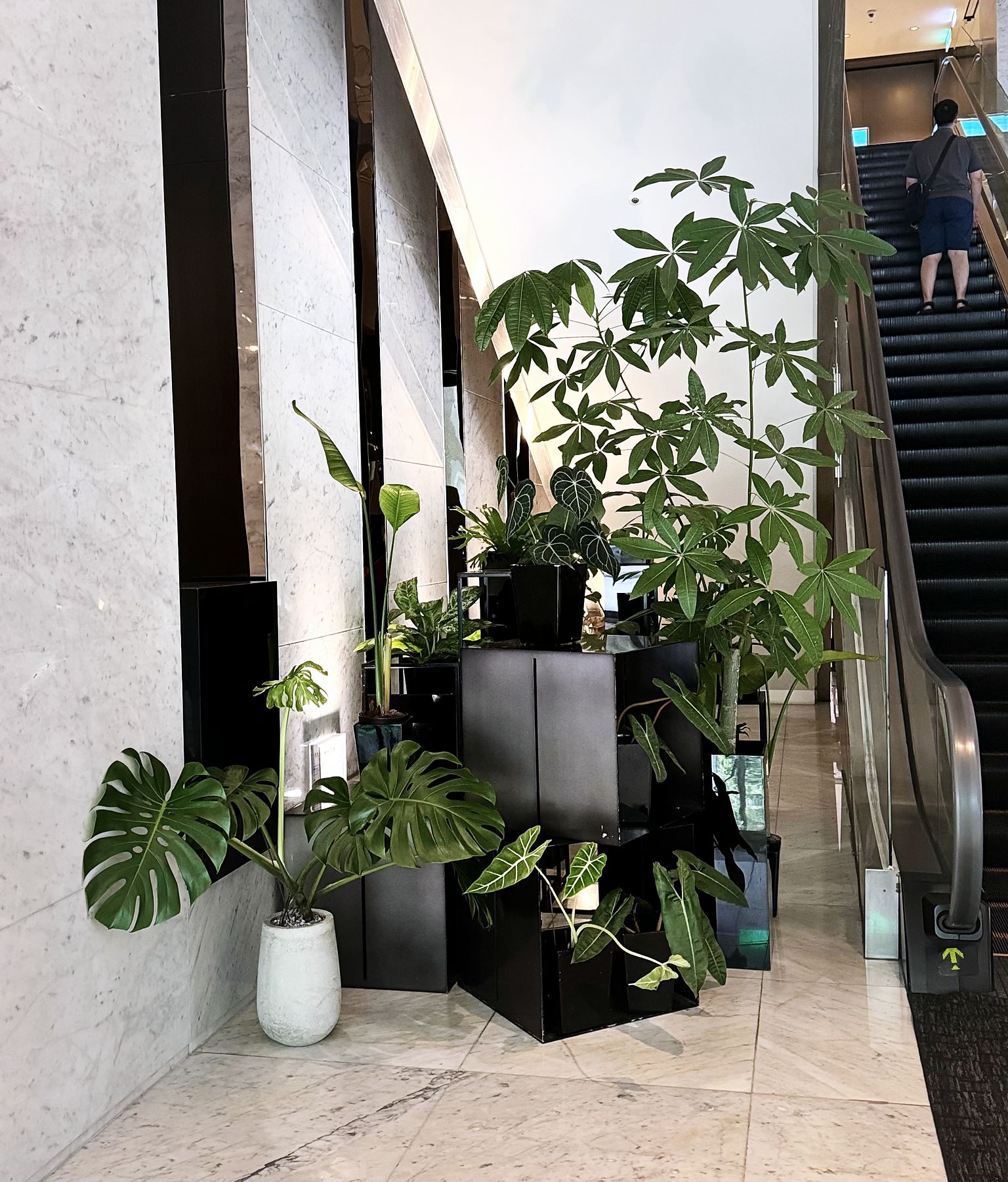 Greenery styling in a hotel lobby