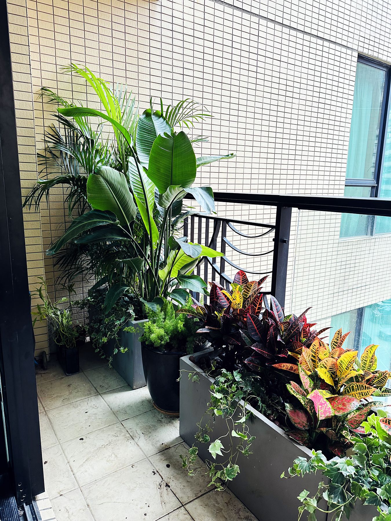 A planted residential balcony in Hong Kong