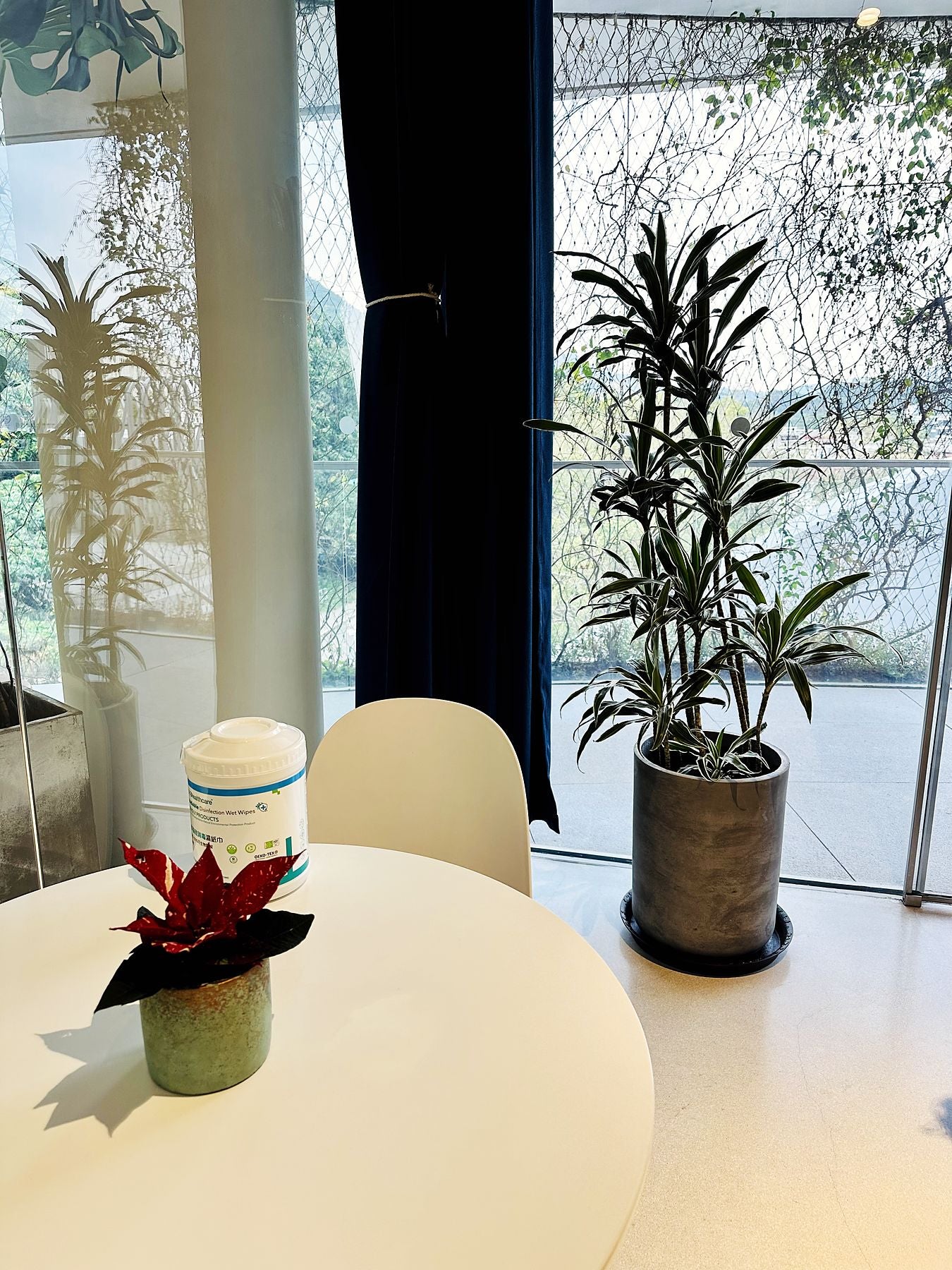 Planting in a Hong Kong corporate office overlooking the hills